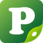 Pikkuna